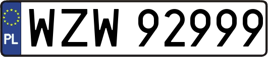 WZW92999
