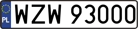 WZW93000