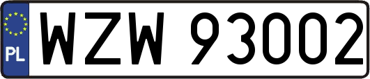 WZW93002