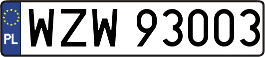 WZW93003