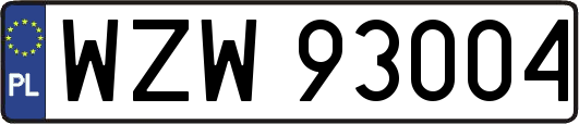 WZW93004