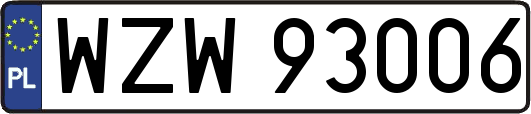 WZW93006