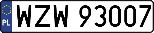 WZW93007