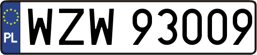 WZW93009