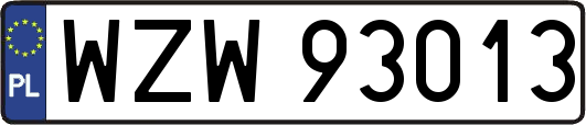 WZW93013