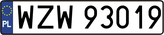 WZW93019