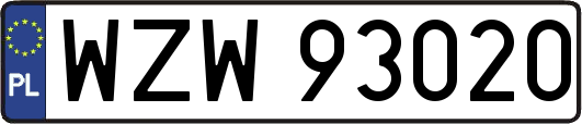 WZW93020