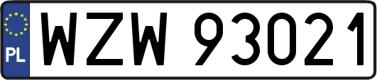 WZW93021
