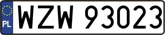 WZW93023