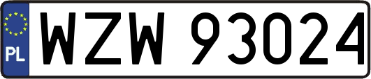 WZW93024