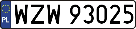 WZW93025