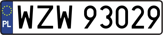 WZW93029