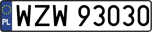 WZW93030