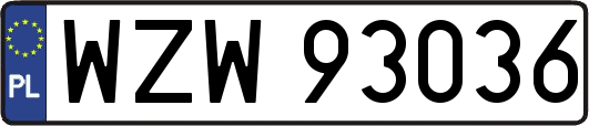 WZW93036