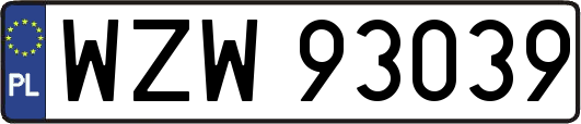 WZW93039