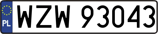 WZW93043