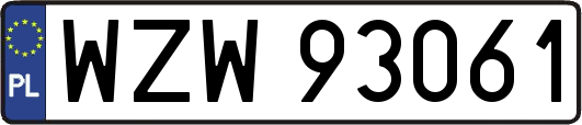 WZW93061