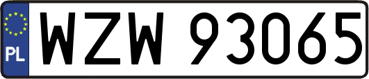 WZW93065