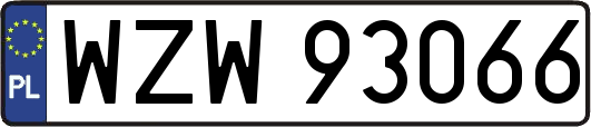 WZW93066