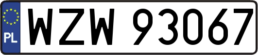WZW93067