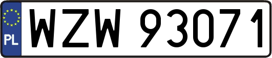 WZW93071