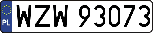 WZW93073