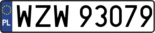 WZW93079
