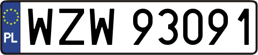 WZW93091