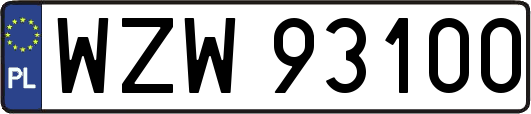 WZW93100