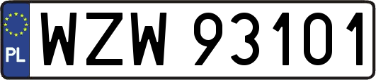 WZW93101