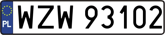 WZW93102
