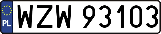 WZW93103