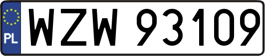 WZW93109