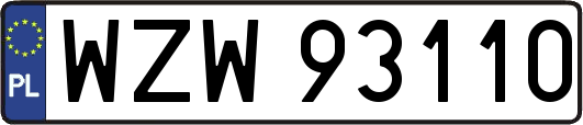 WZW93110