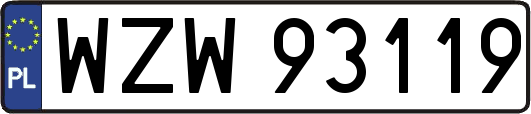 WZW93119