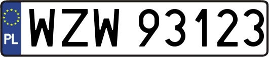 WZW93123