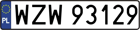 WZW93129