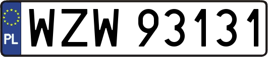 WZW93131