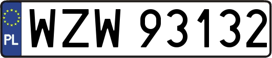 WZW93132