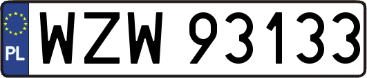 WZW93133