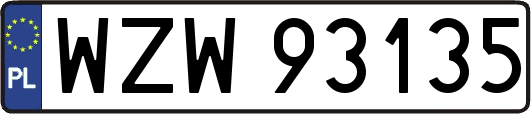WZW93135