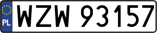 WZW93157