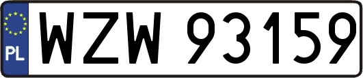 WZW93159