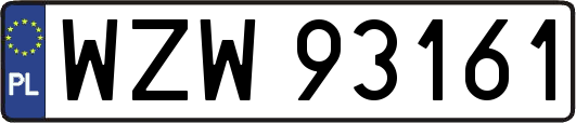WZW93161