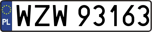 WZW93163