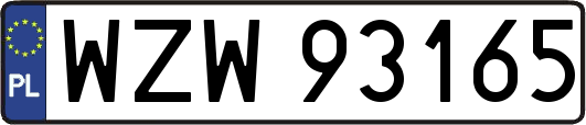 WZW93165