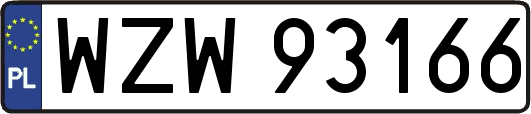 WZW93166