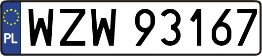 WZW93167