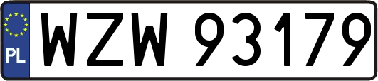 WZW93179