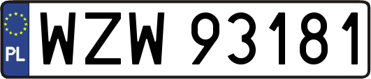 WZW93181